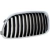 Picture of Grille Assembly