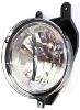 Picture of Fog Light