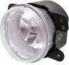 Picture of Fog Light