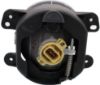 Picture of Fog Light