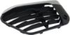 Picture of Bumper Grille