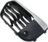 Picture of Bumper Grille