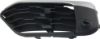 Picture of Bumper Grille