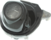 Picture of Fog Light