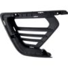 Picture of Bumper Grille