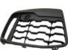 Picture of Bumper Grille