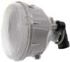Picture of Fog Light