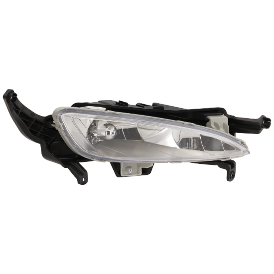 Picture of Fog Light