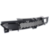 Picture of Bumper Grille