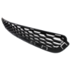 Picture of Bumper Grille