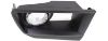 Picture of Fog Light Trim