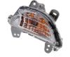Picture of Turn Signal Light