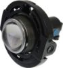 Picture of Fog Light
