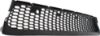 Picture of Bumper Grille