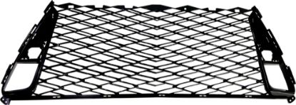 Picture of Bumper Grille