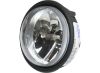 Picture of Fog Light