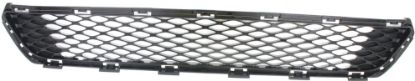Picture of Bumper Grille