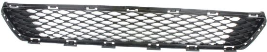 Picture of Bumper Grille