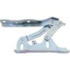 Picture of Hood Hinge