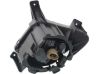 Picture of Fog Light