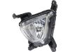 Picture of Fog Light