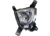 Picture of Fog Light