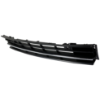 Picture of Bumper Grille