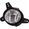 Picture of Fog Light