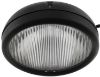 Picture of Fog Light