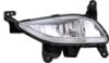 Picture of Fog Light
