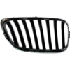 Picture of Grille Assembly