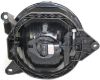 Picture of Fog Light
