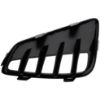 Picture of Bumper Grille