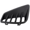 Picture of Bumper Grille