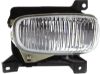 Picture of Fog Light