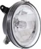 Picture of Fog Light