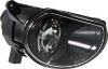 Picture of Fog Light