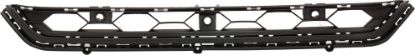 Picture of Bumper Grille
