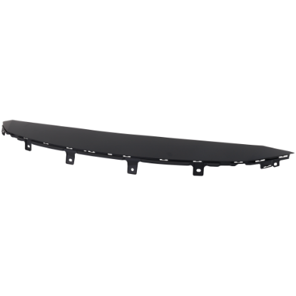 Picture of Grille Trim