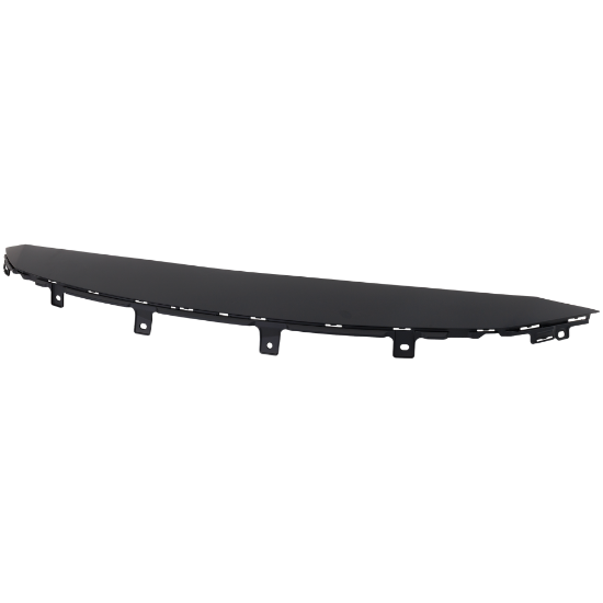 Picture of Grille Trim