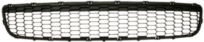 Picture of Bumper Grille