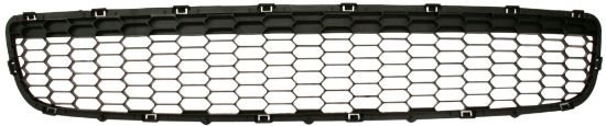 Picture of Bumper Grille
