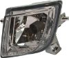 Picture of Fog Light