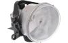 Picture of Fog Light