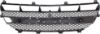 Picture of Bumper Grille
