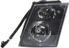 Picture of Fog Light