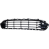 Picture of Bumper Grille
