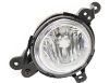 Picture of Fog Light