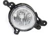 Picture of Fog Light