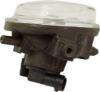Picture of Fog Light
